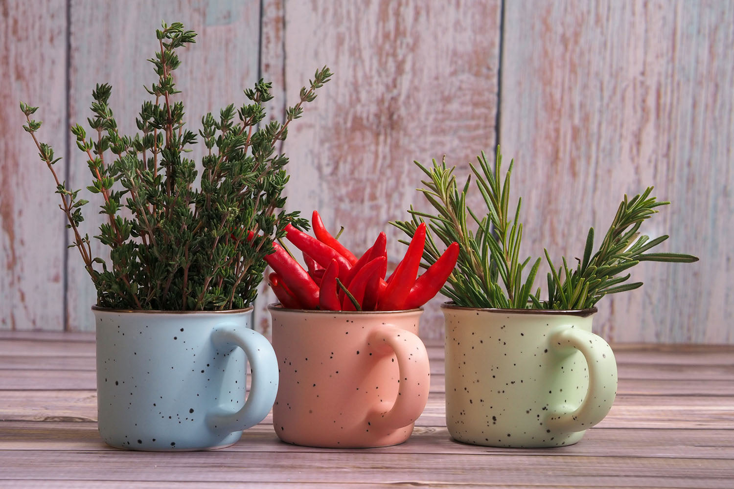 Small Details, Big Impact: How Thoughtful Home Decor Creates a More Beautiful Space